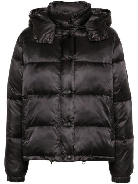 PINKO Love Birds-patch puffer jacket
