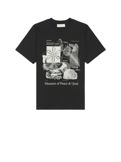 Museum of Peace & Quiet Fibonacci T-Shirt