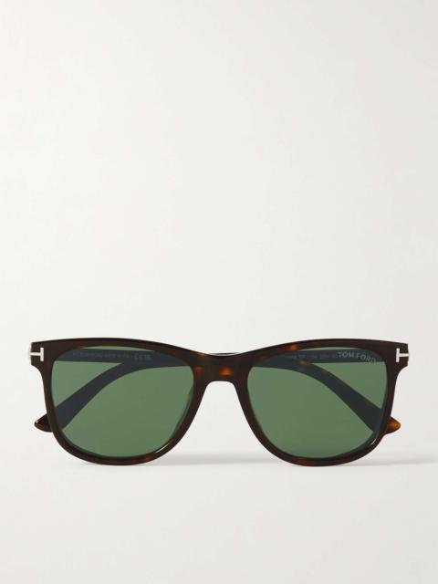 Sinatra D-Frame Tortoiseshell Acetate and Silver-Tone Sunglasses