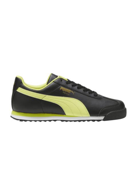 Roma Basic Plus 'Black Lime Sheen'