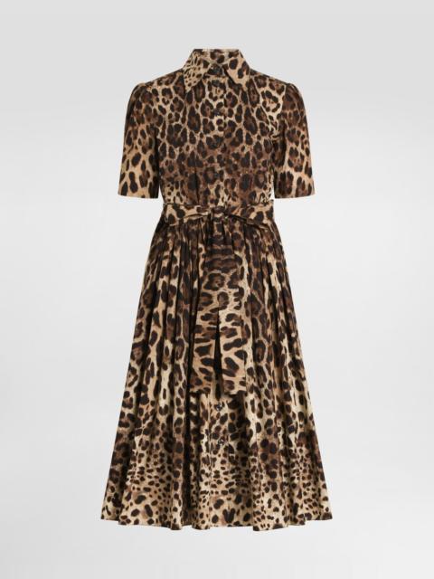 Dolce & Gabbana Leo-print poplin shirt dress