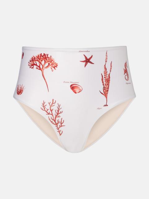 Agua by Agua Bendita Magdalena printed bikini bottoms