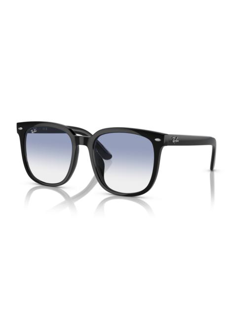 Ray-Ban RB4401D