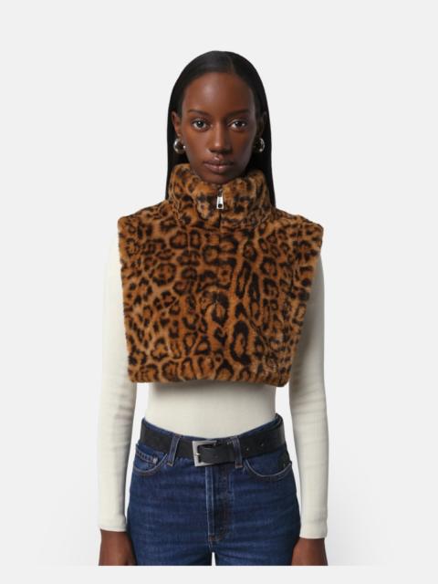 APPARIS JAMIE DICKEY