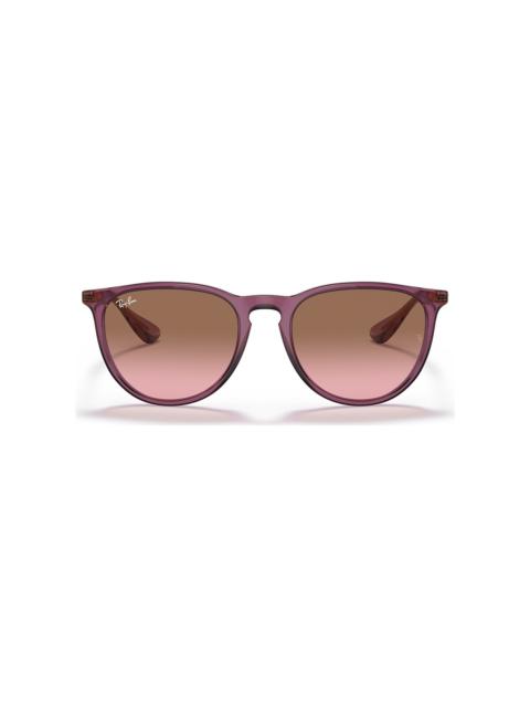 Ray-Ban RB4171 Erika Classic