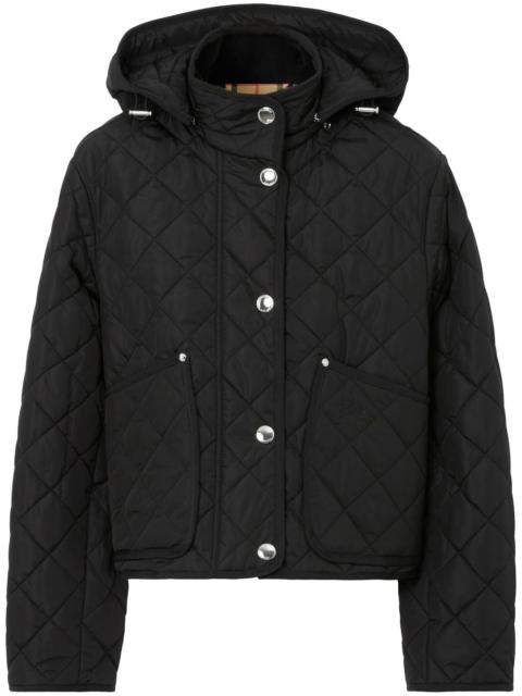 Quilted hooded jacket