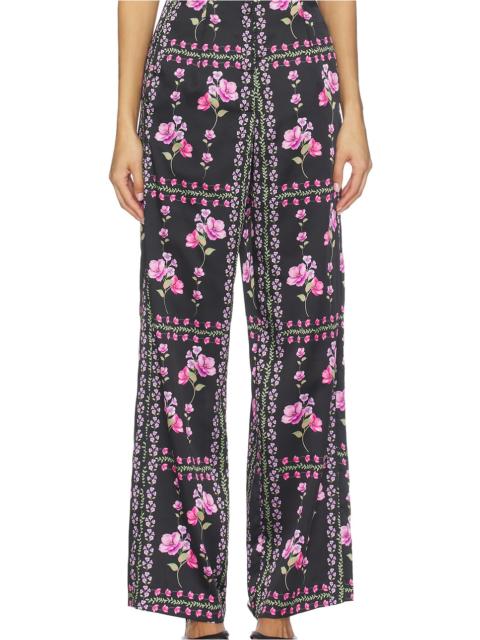 MISA Rita Pant