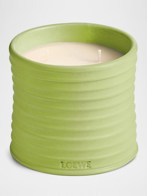 Loewe Medium Cucumber Candle, 20.7 oz.