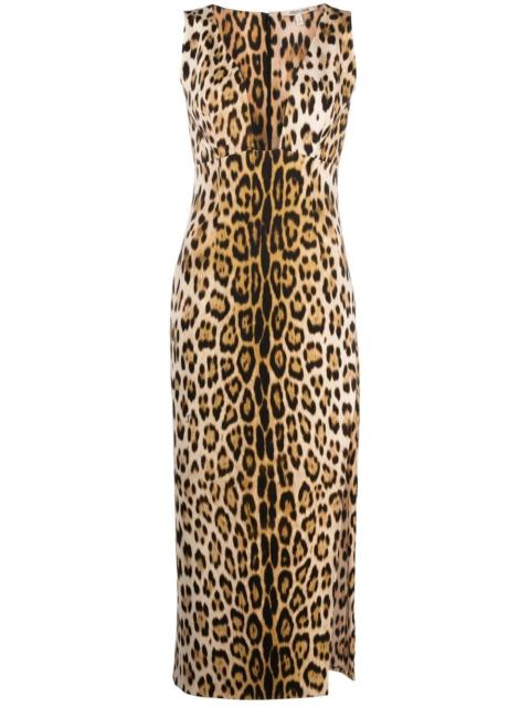 Roberto Cavalli leopard-print plunge midi dress