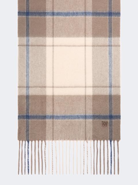 WEEKEND Max Mara CATONE Cashmere scarf - BROWN