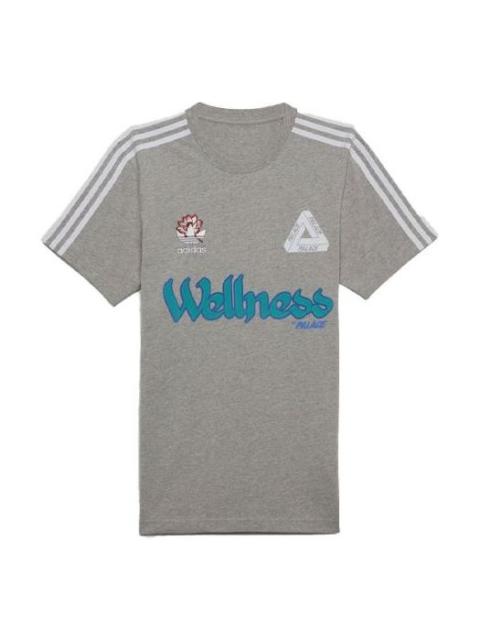 Palace X adidas Originals Wellness Graphic Short Sleeve T-Shirts 'Grey' HB1707