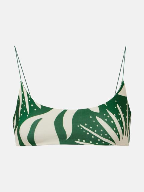 CALA de la CRUZ Isla printed bikini top