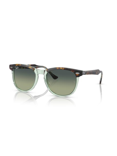 Ray-Ban EAGLE EYE