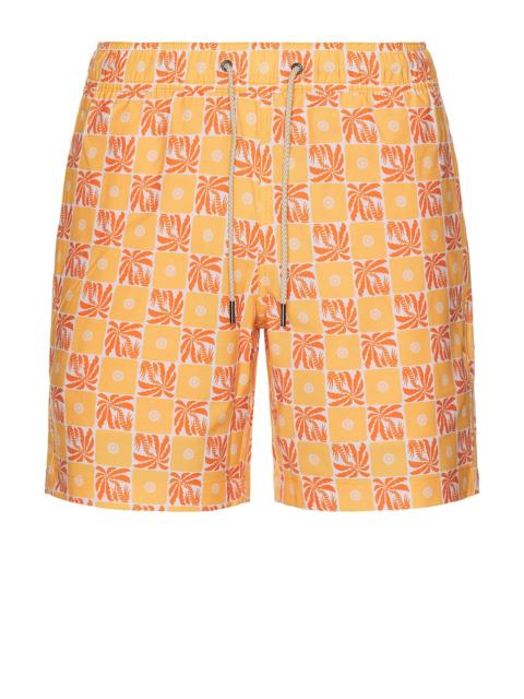 Fair Harbor Bayberry Trunk