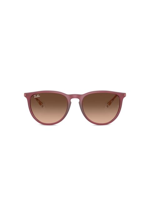 Ray-Ban Erika sunglasses