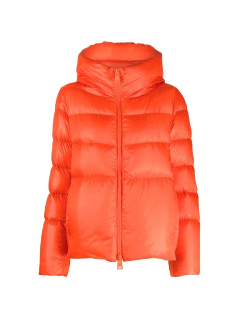 Herno zip-fastening padded jacket