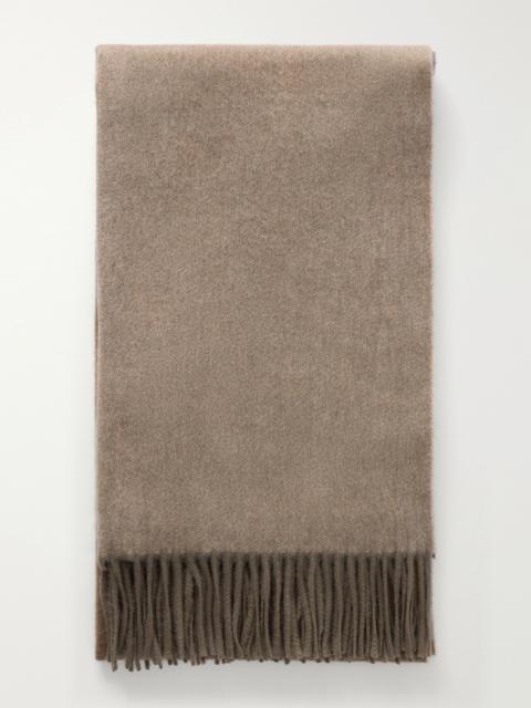 Johnstons of Elgin Umbra Fringed Cashmere Scarf