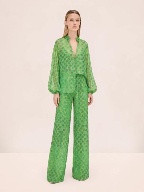 ALEXIS VERDE PANT