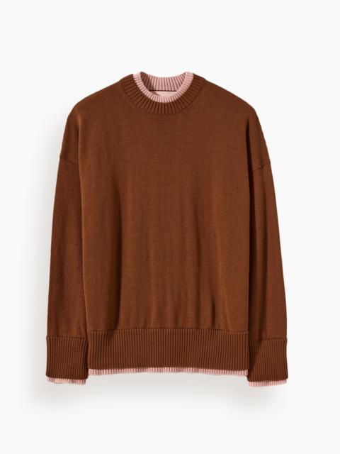 Plan C Sweater in Brown Pink