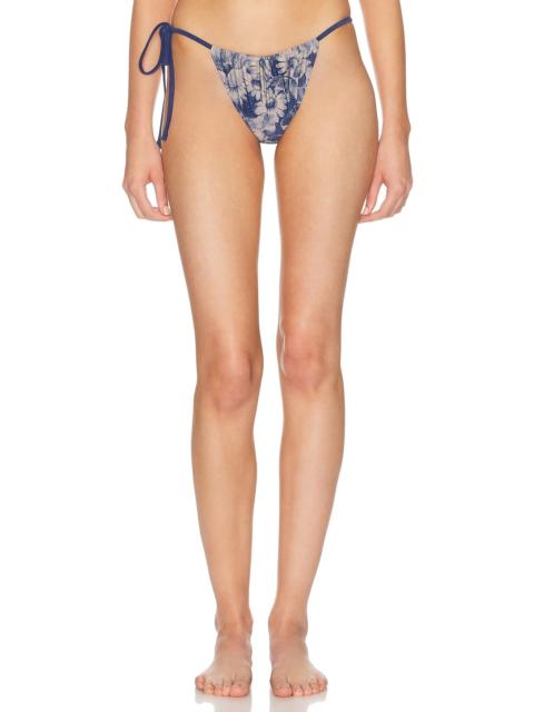SIR. Lilia String Brief