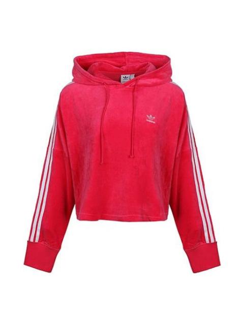 adidas (WMNS) adidas originals Cropped Hoodie 'Red' GI7622