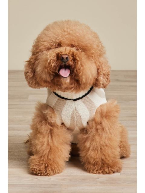 Barefoot Dreams CozyChic® Cotton Classic Stripe Pet Sweater