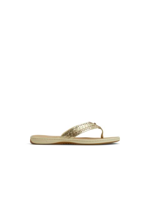 SPERRY Seafish 3 Flip Flop Sandal