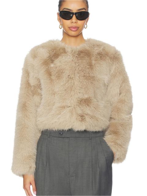 BLANKNYC Crop Faux Fur Coat