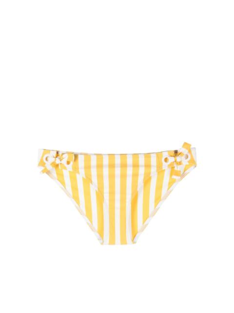 Vida Classic bikini bottoms