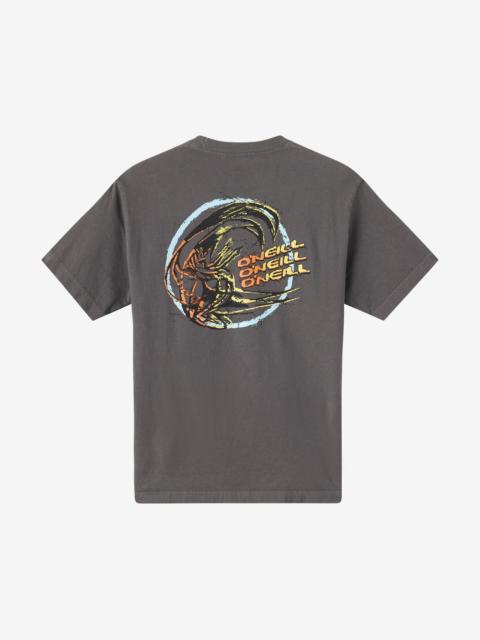 O'Neill Circle Freak Boxy Tee Standard Fit Tee