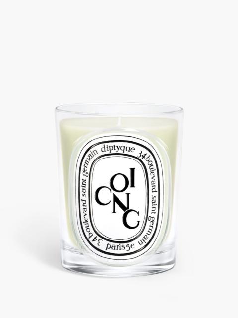 Diptyque Coing (Quince) - Classic Candle