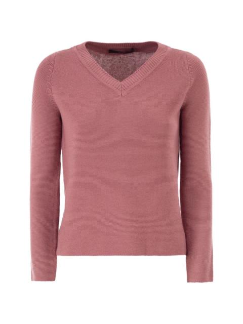 WEEKEND Max Mara Wkdago V-neck cotton sweater