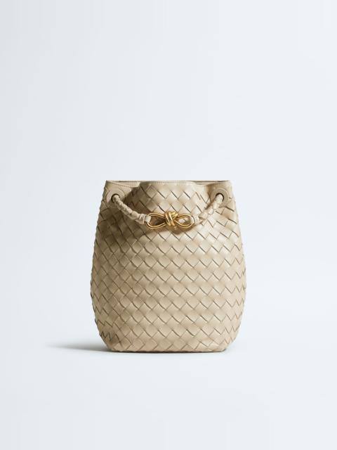 Bottega Veneta Andiamo Small Bucket