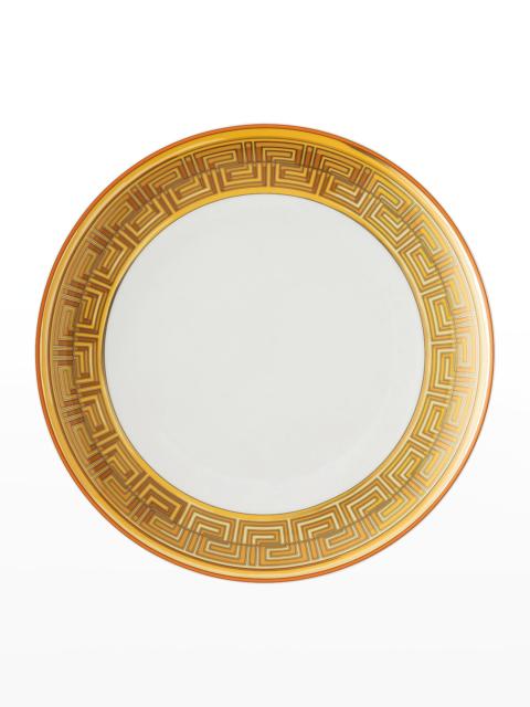 VERSACE Medusa Amplified Orange Coin Dinner Plate