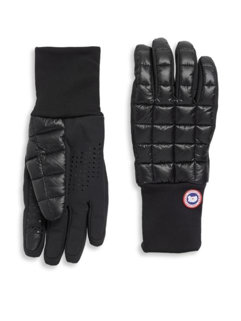 Canada Goose Men's Northern Quilted Gloves - Black