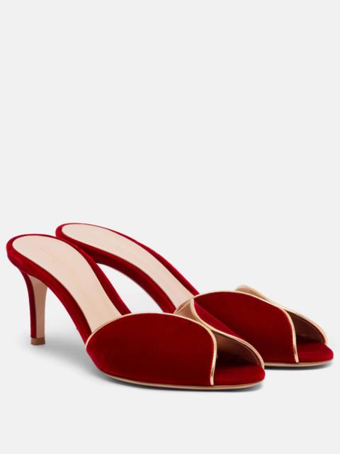 Gianvito Rossi 70 leather-trimmed velvet mules