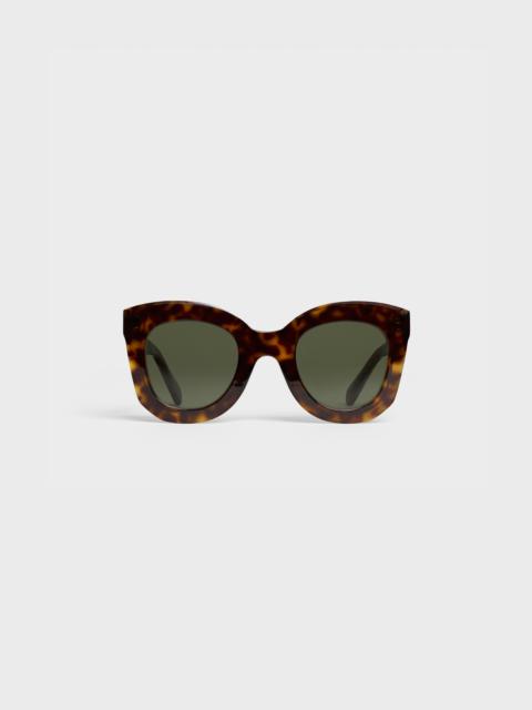 CELINE Butterfly S005 Sunglasses in Acetate