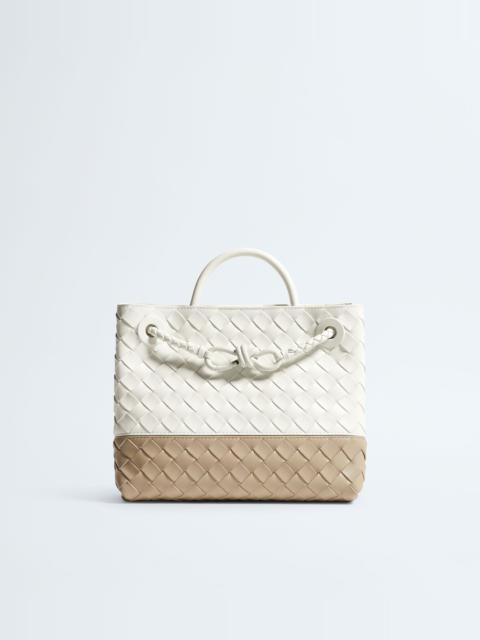 Bottega Veneta Small Andiamo