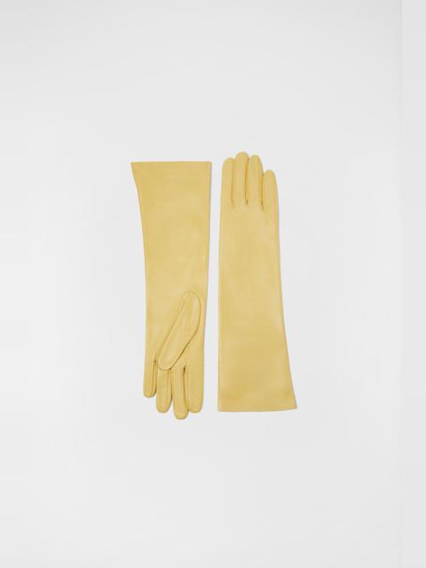 Jil Sander Medium Gloves