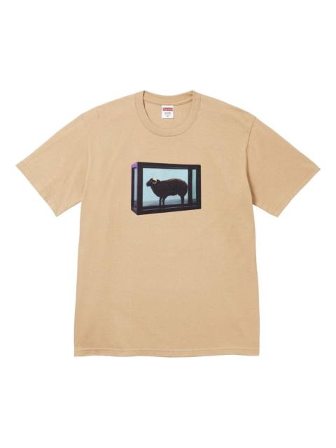 Supreme Supreme x Damien Hirst T-Shirt 'Khaki' SS25T5-KHAKI