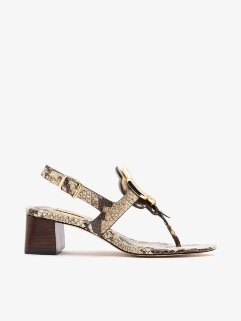 Larroudé Margherita Block Thong Sandal Snake Leather