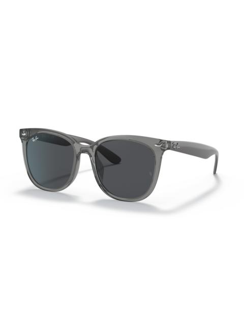 Ray-Ban RB4379D