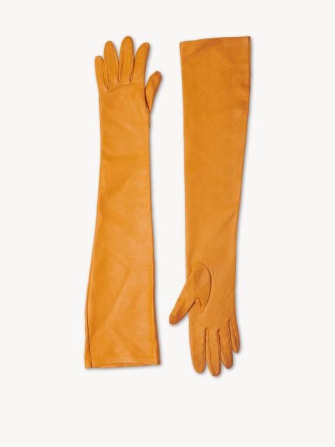 The Row Simon Gloves in Leather