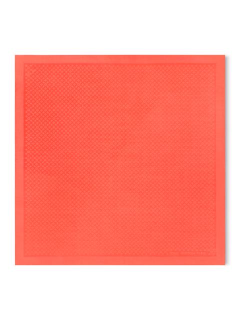 Louis Vuitton Evermore Shawl