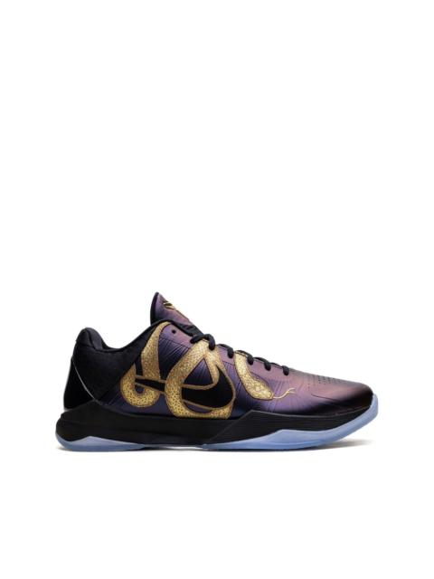 Zoom Kobe 5 Protro "Eggplant - Eggplant/Black/Metallic Gold" sneakers