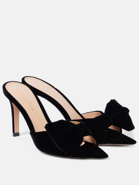 Gianvito Rossi 85 활 detail 벨벳 mules