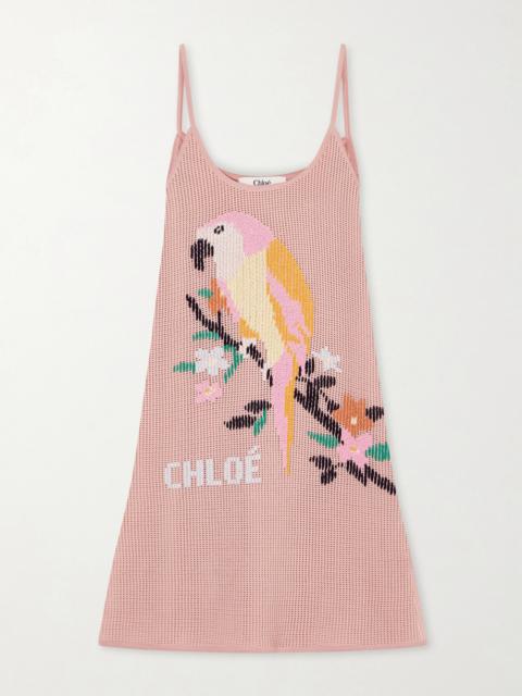 Chloé Embroidered Crocheted Cotton Mini Dress