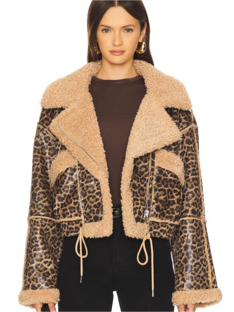 BLANKNYC Bonded Moto Jacket in