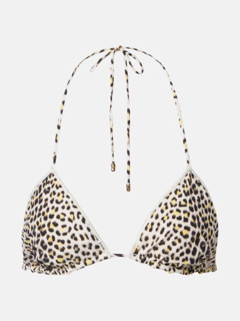 Roberto Cavalli Printed bikini top