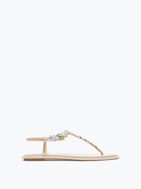 RENE CAOVILLA Eden Nude Thong Sandal 10